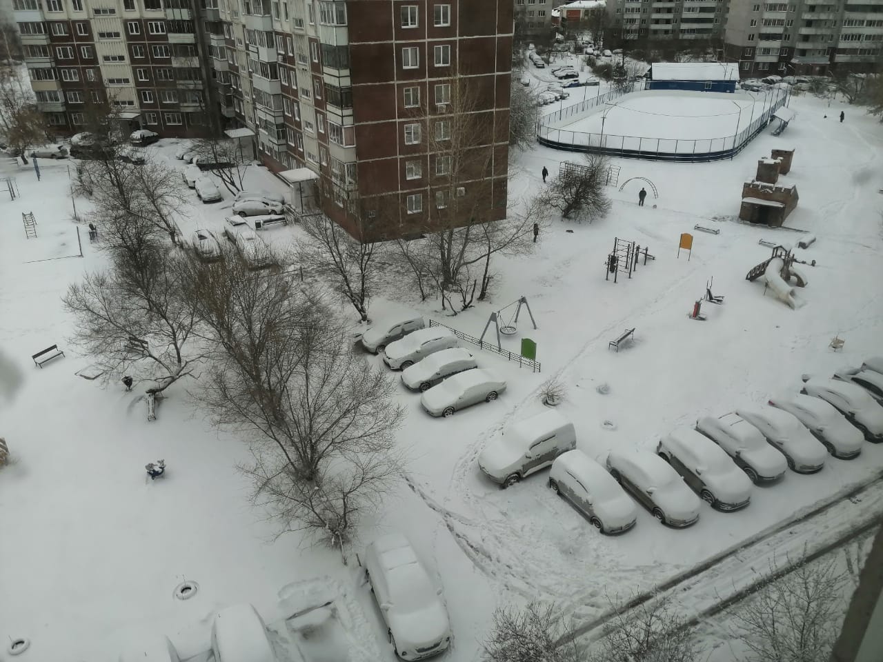 Фото: РБК Новосибирск