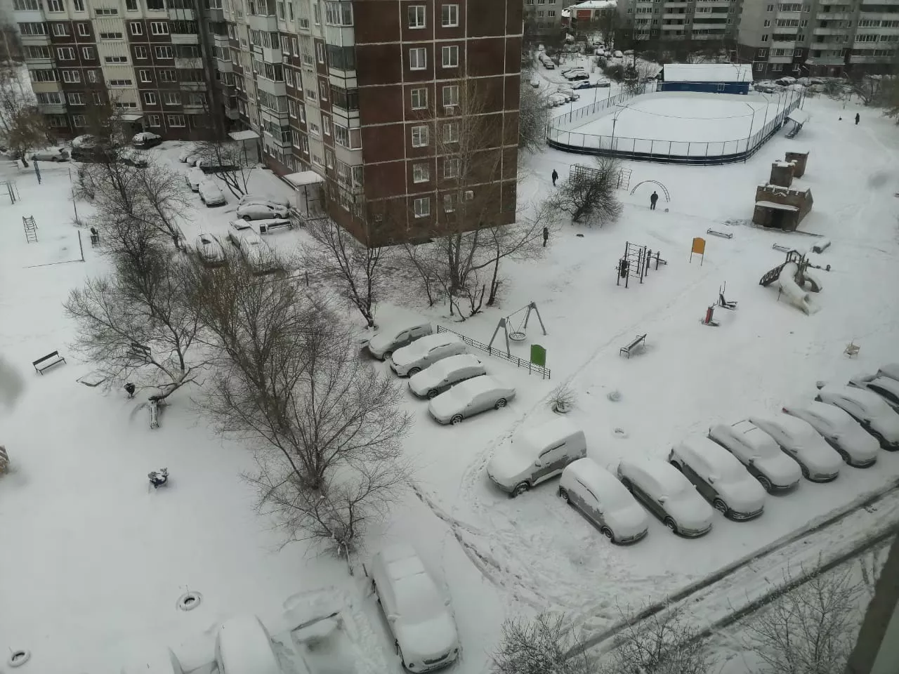 РБК Новосибирск