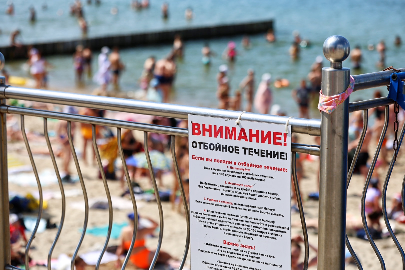 Фото: Александр Подгорчук