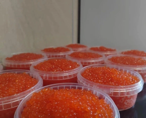 РБК Приморье