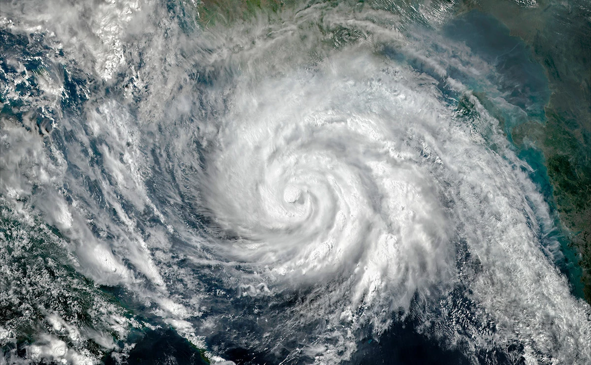 Triff / Shutterstock