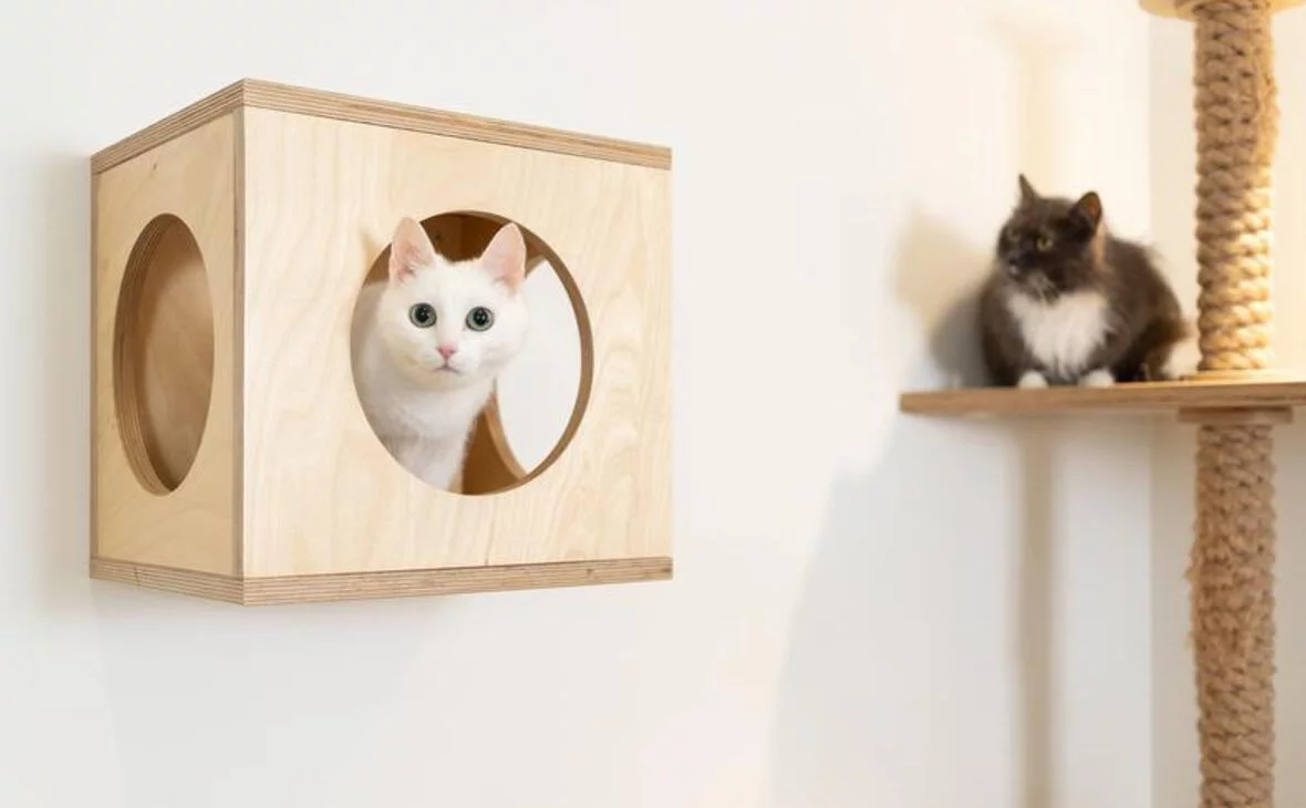 Владислав Шатило / РБК