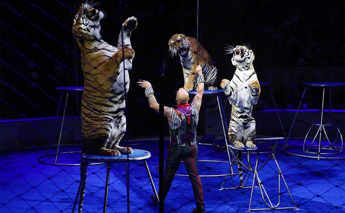 Александр Демьянчук / ТАСС