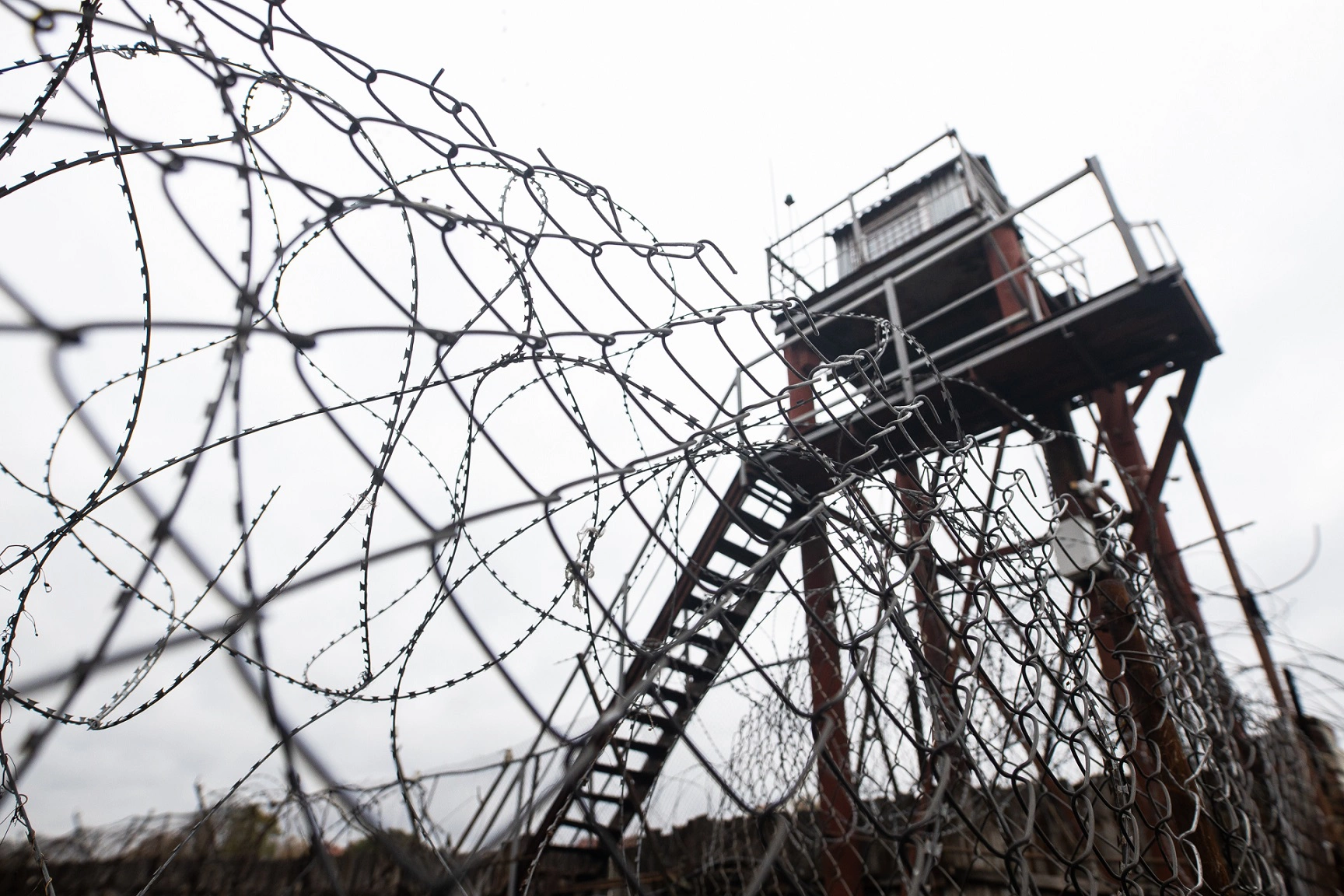 Александр Подгорчук