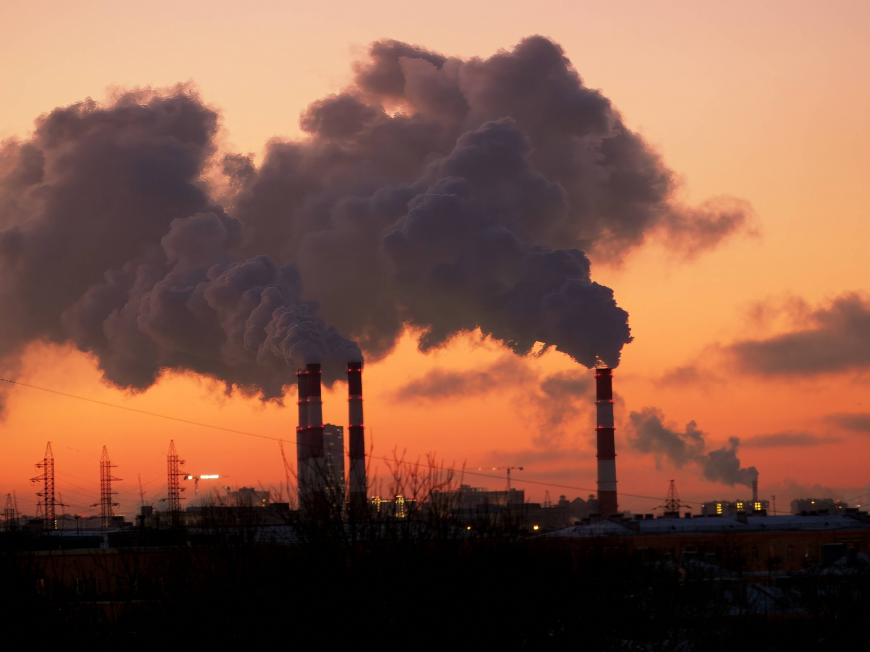 Фото: PhotoXPress.ru