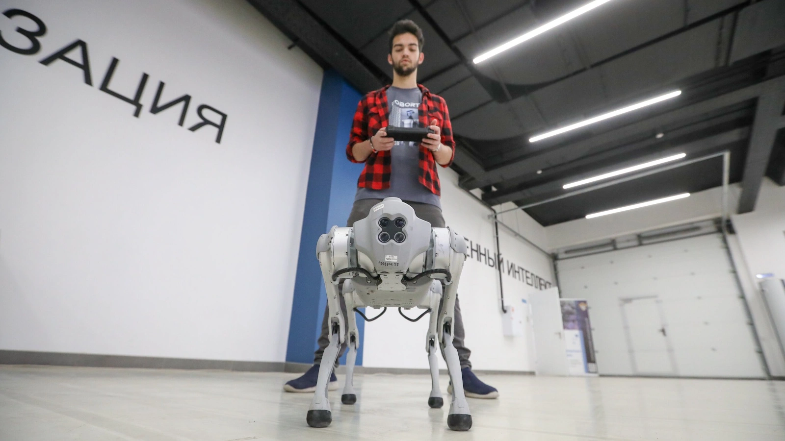 Россияне стали меньше опасаться, что их заменят роботы. Результаты опроса