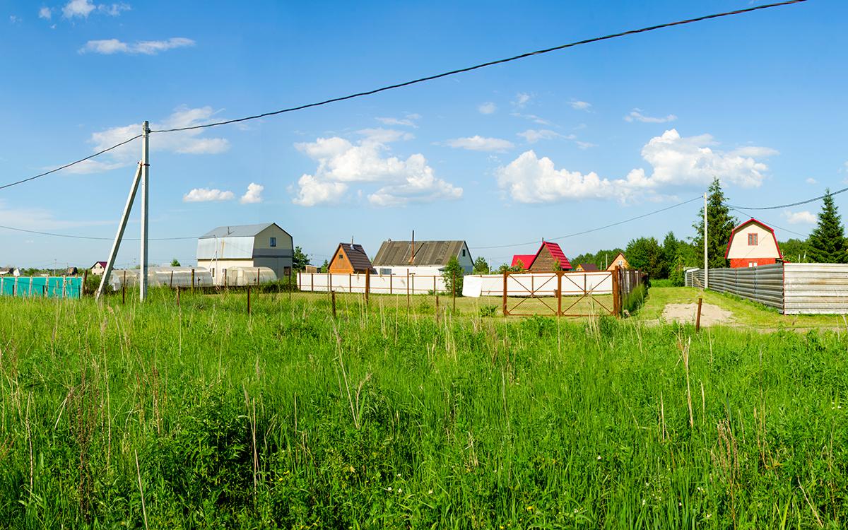 Фото: Dmitry Sedakov / Shutterstock / FOTODOM