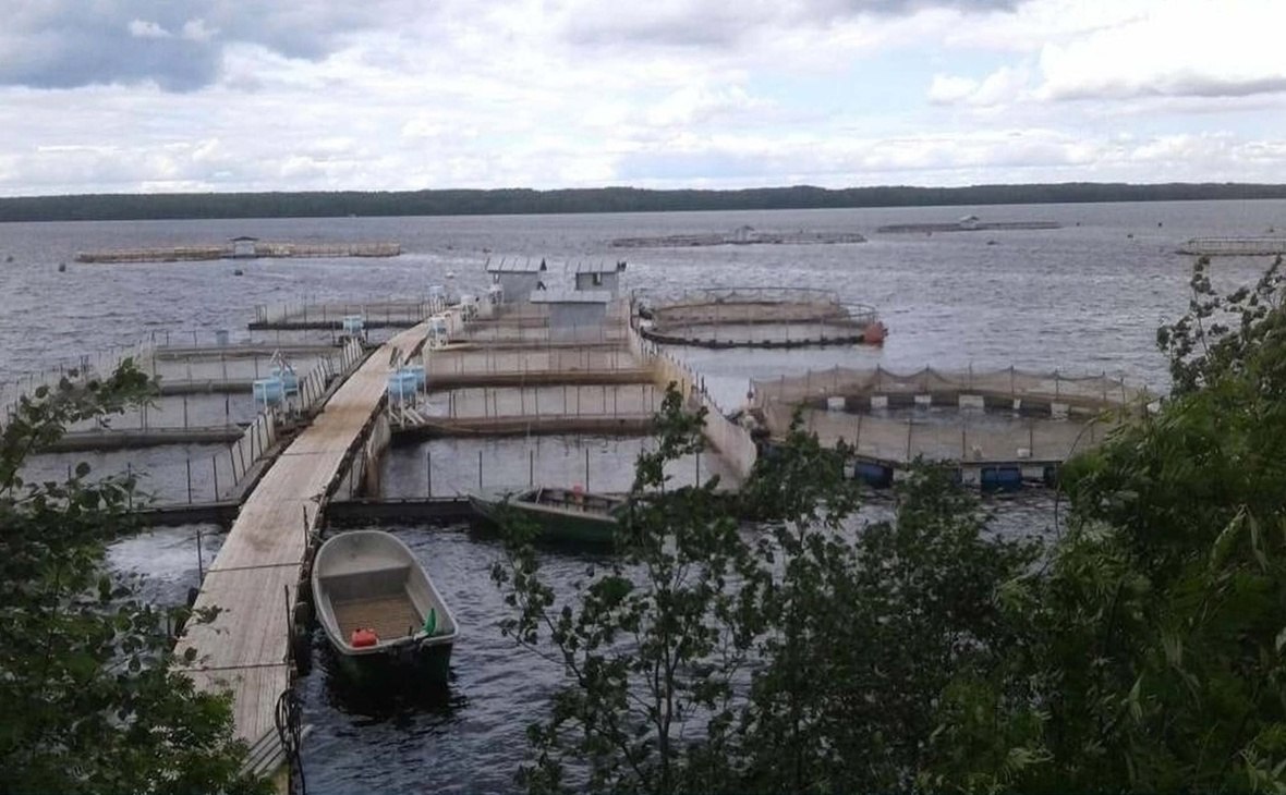 Фото: Республика Карелия/ vk.com