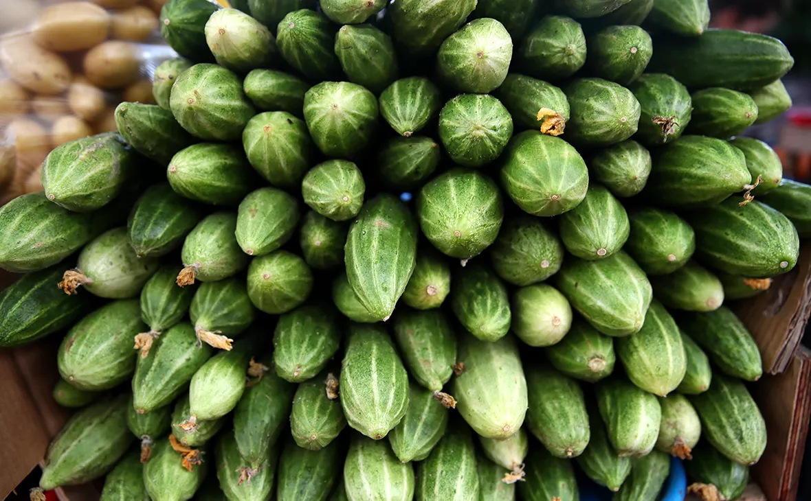 Дмитрий Феоктистов / ТАСС