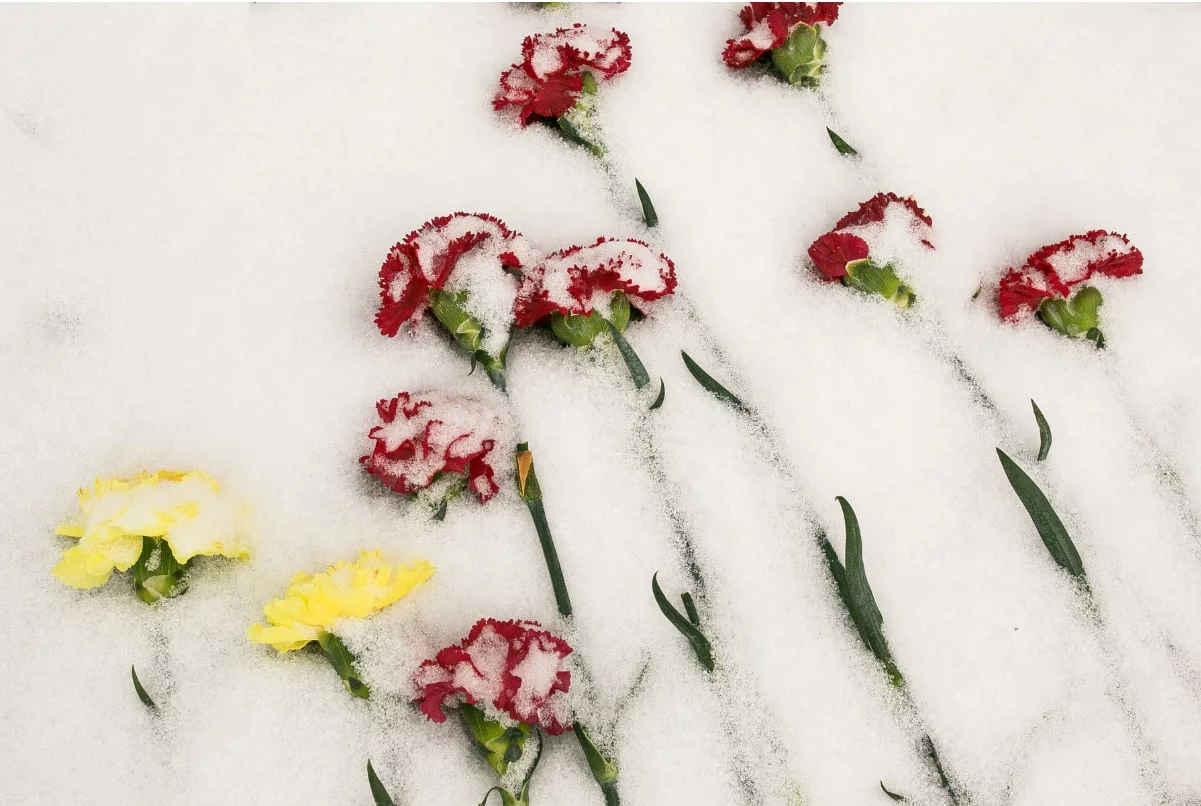 Денис Моргунов / РИА URA.RU