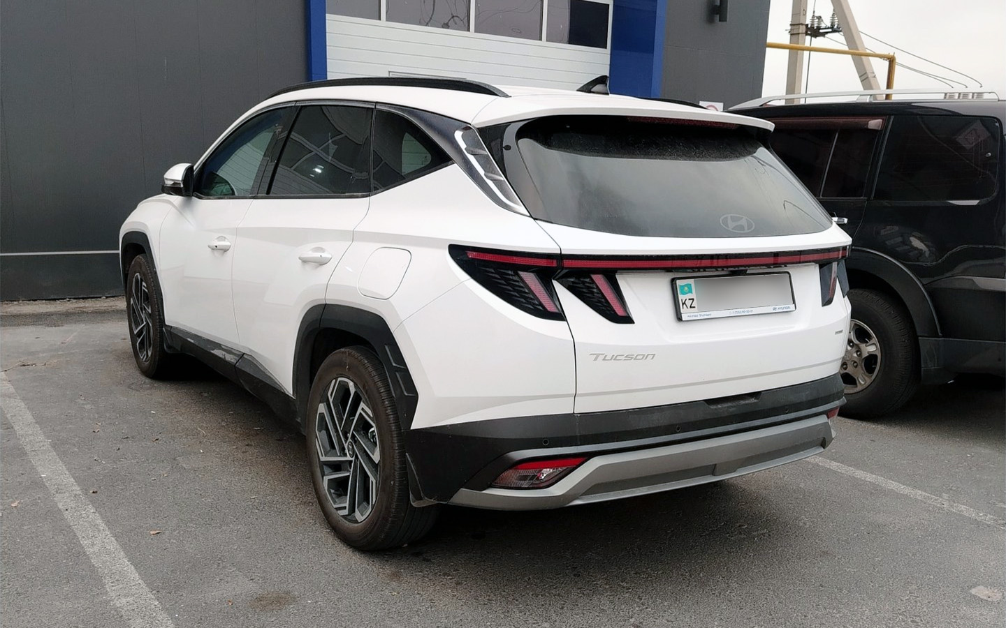 Фото: PlatesMania