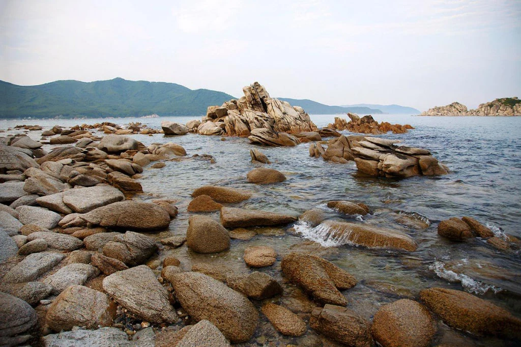 Департамент информационной политики Приморского края