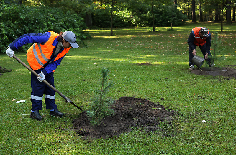 Фото: Дарья Иванова/Интерпресс