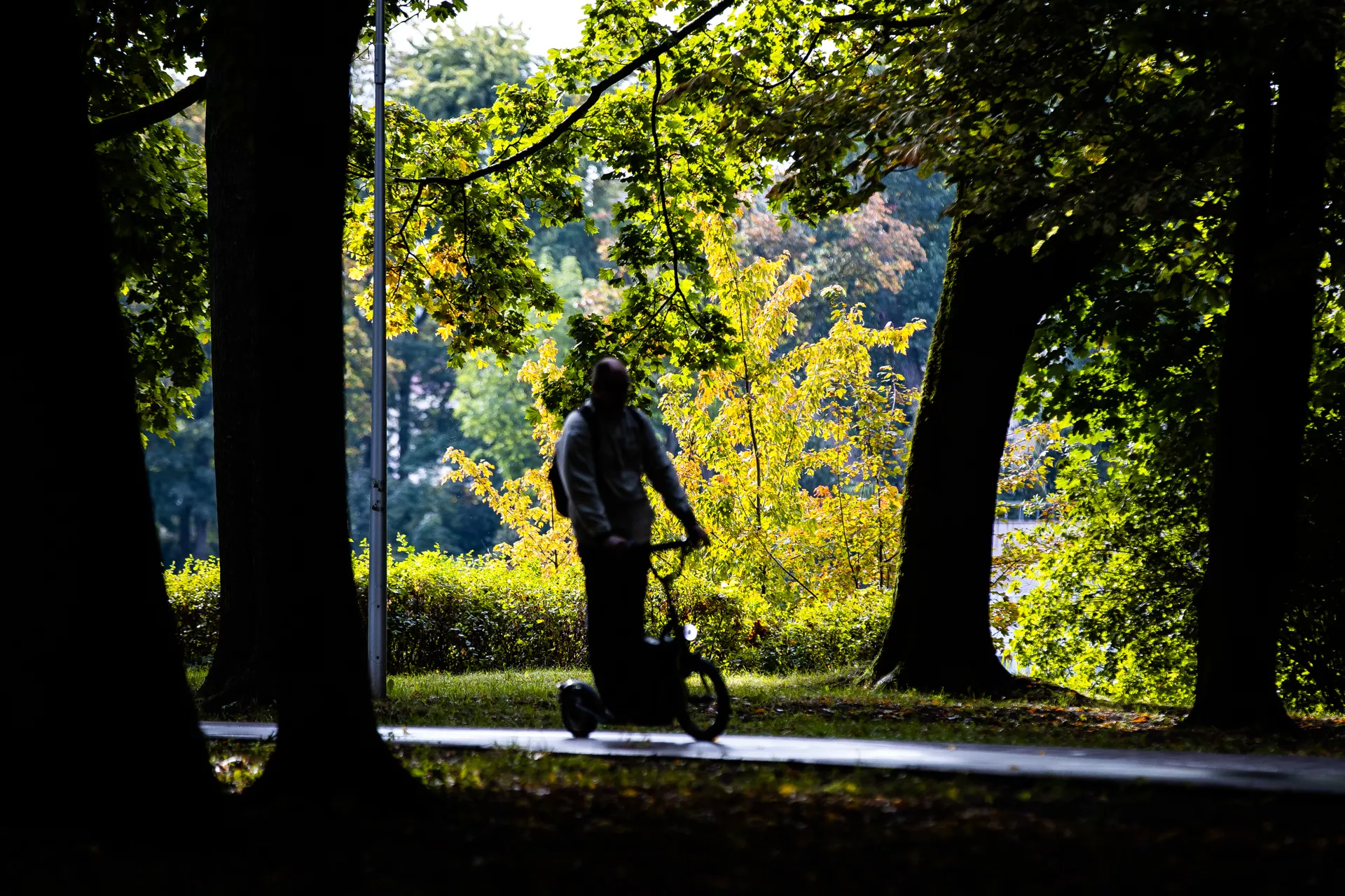Александр Подгорчук