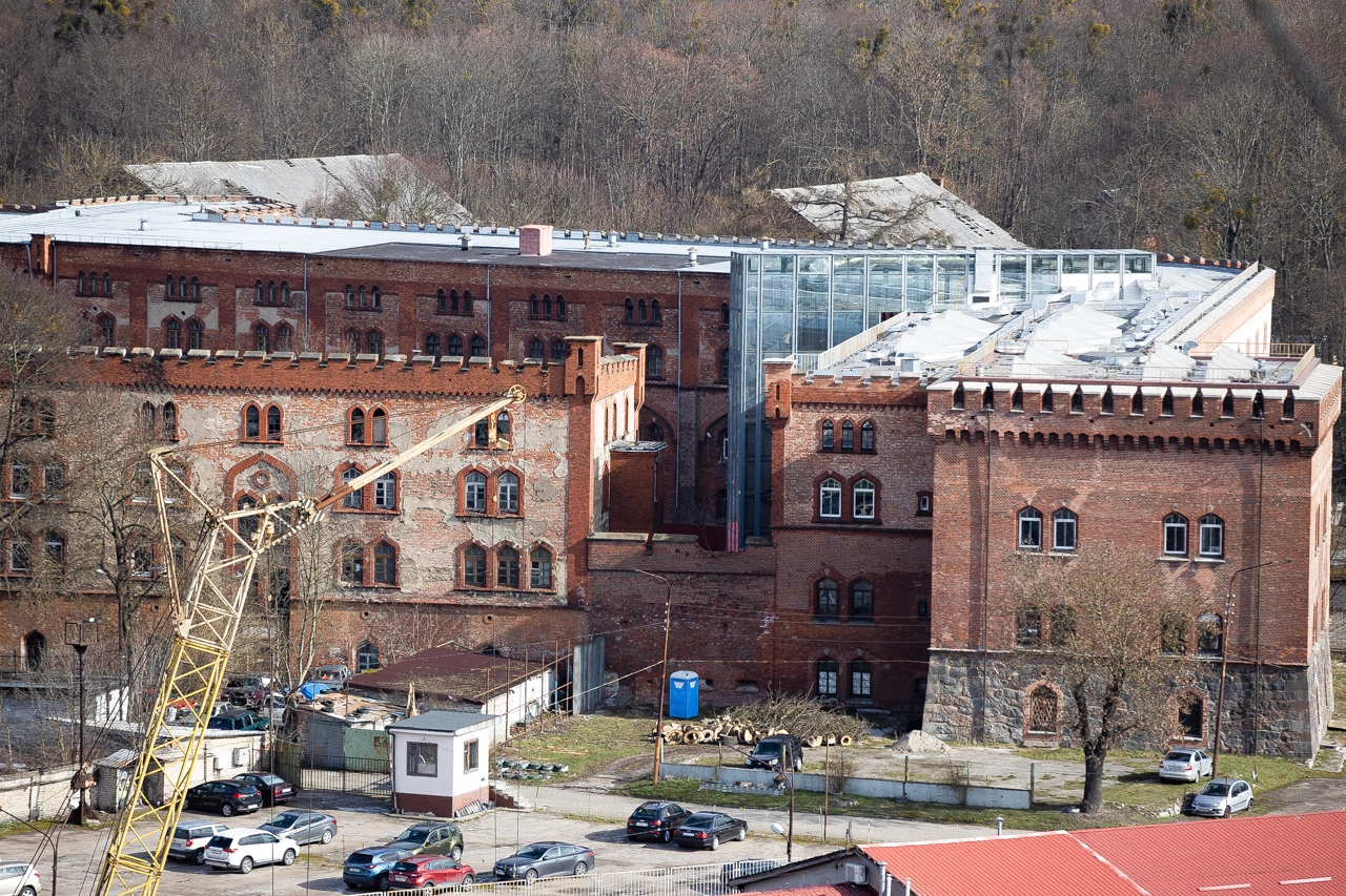 Александр Подгорчук