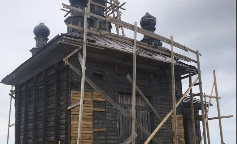 Светлана Вильмова