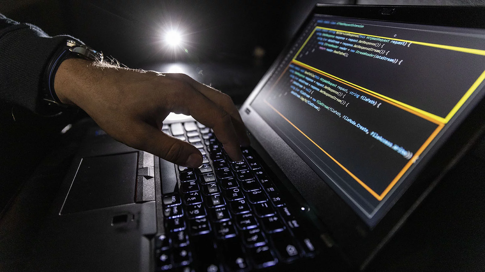 В МВД назвали рекордную похищенную кибермошенниками сумму