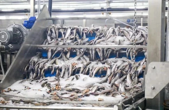 Пресс-служба правительства Приморского края