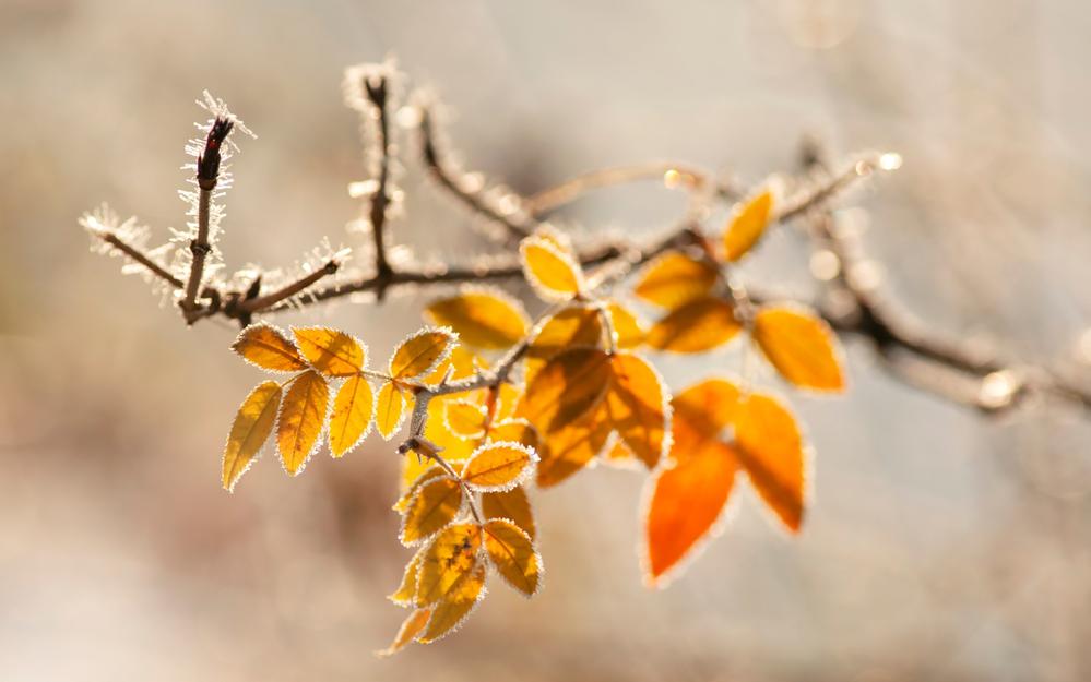 Фото: Shutterstock