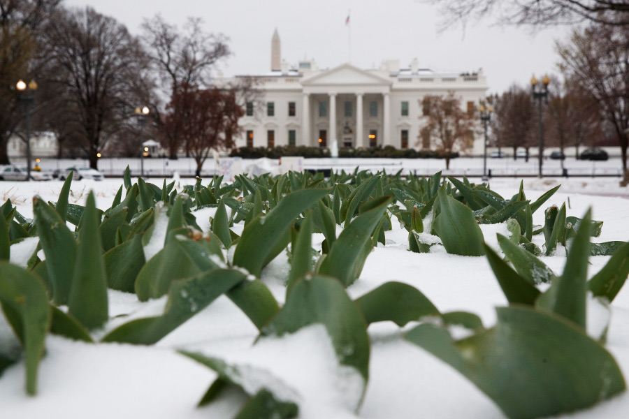 Белый дом, Вашингтон
