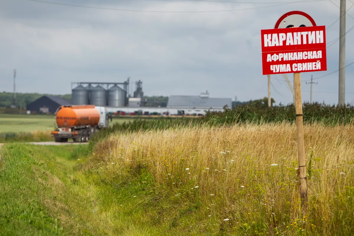 Александр Подгорчук