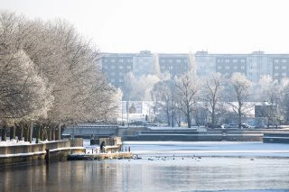 Александр Подгорчук