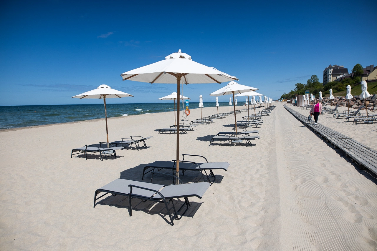 Александр Подгорчук