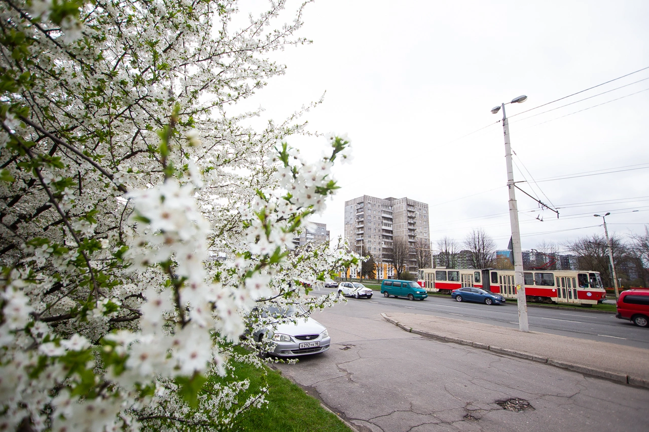 Александр Подгорчук