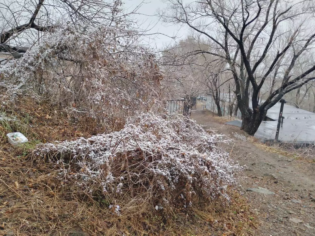 РБК Приморье