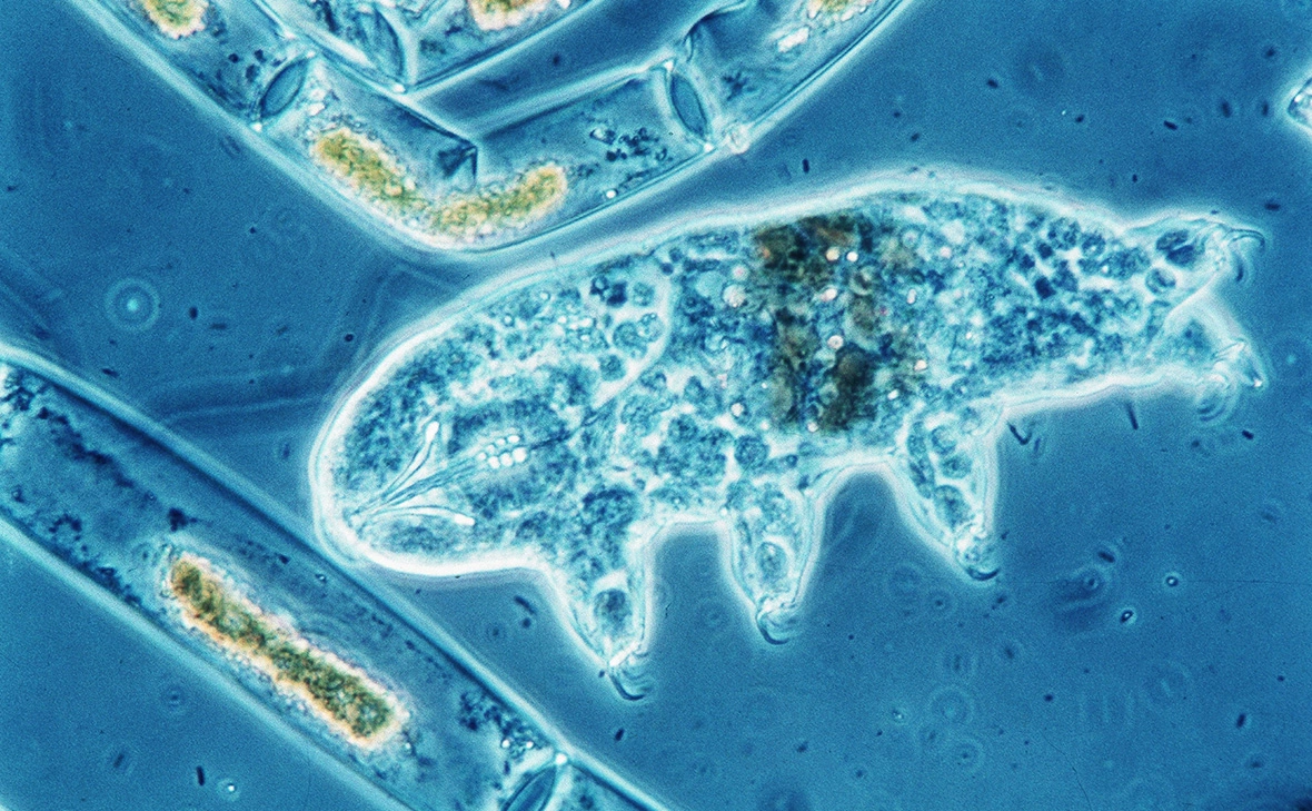 Hecker / Sauer / Global Look Press