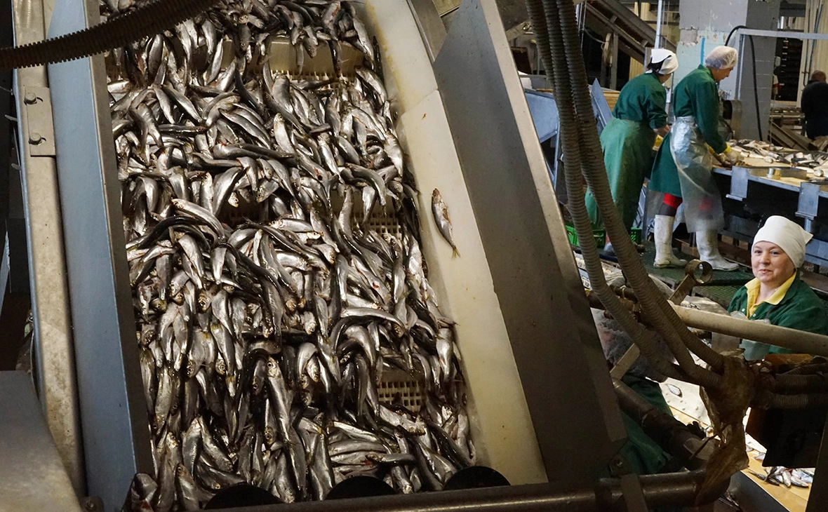  Игорь Зарембо / РИА Новости