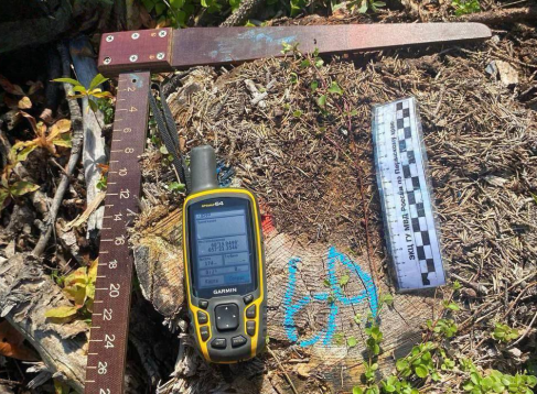 Прокуратура Пермского края