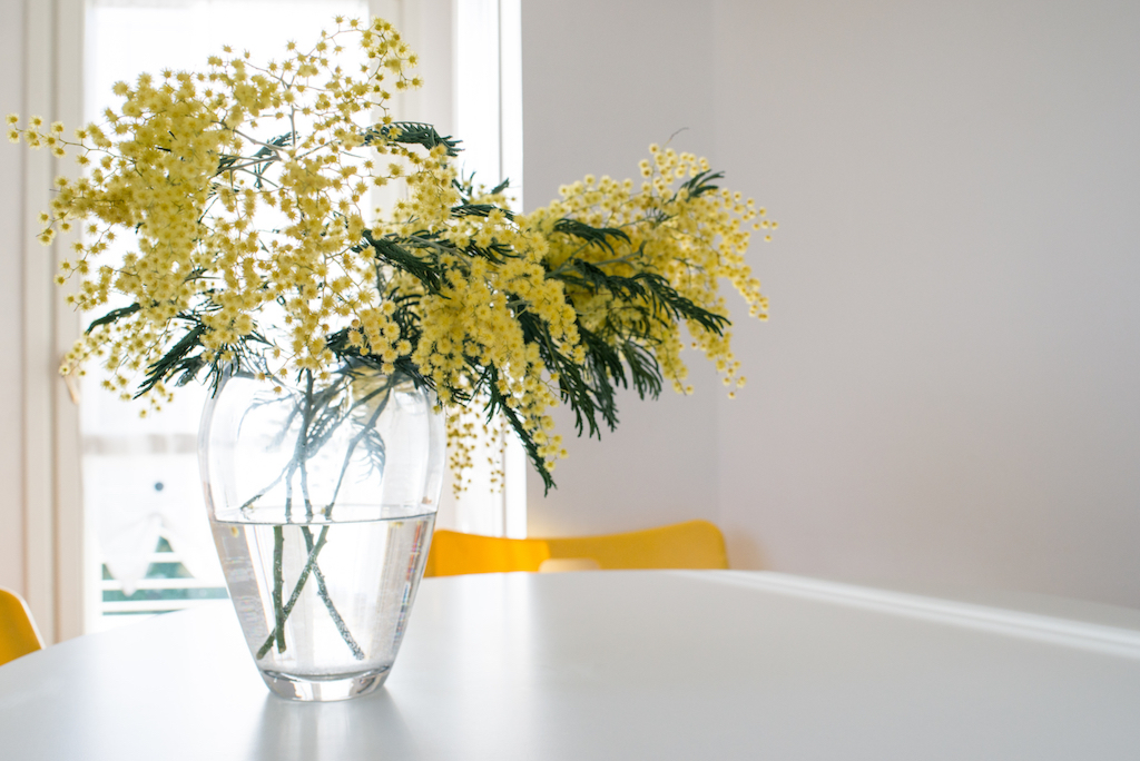 Цветы могут легко обновить квартиру.&nbsp;Сейчас бум популярности на цветущие ветки, мимозу