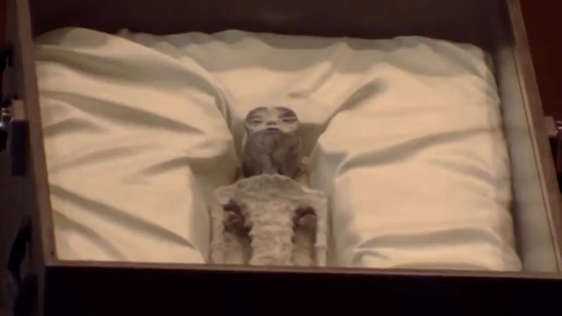 В Мексике депутатам показали «мумии пришельцев». Видео