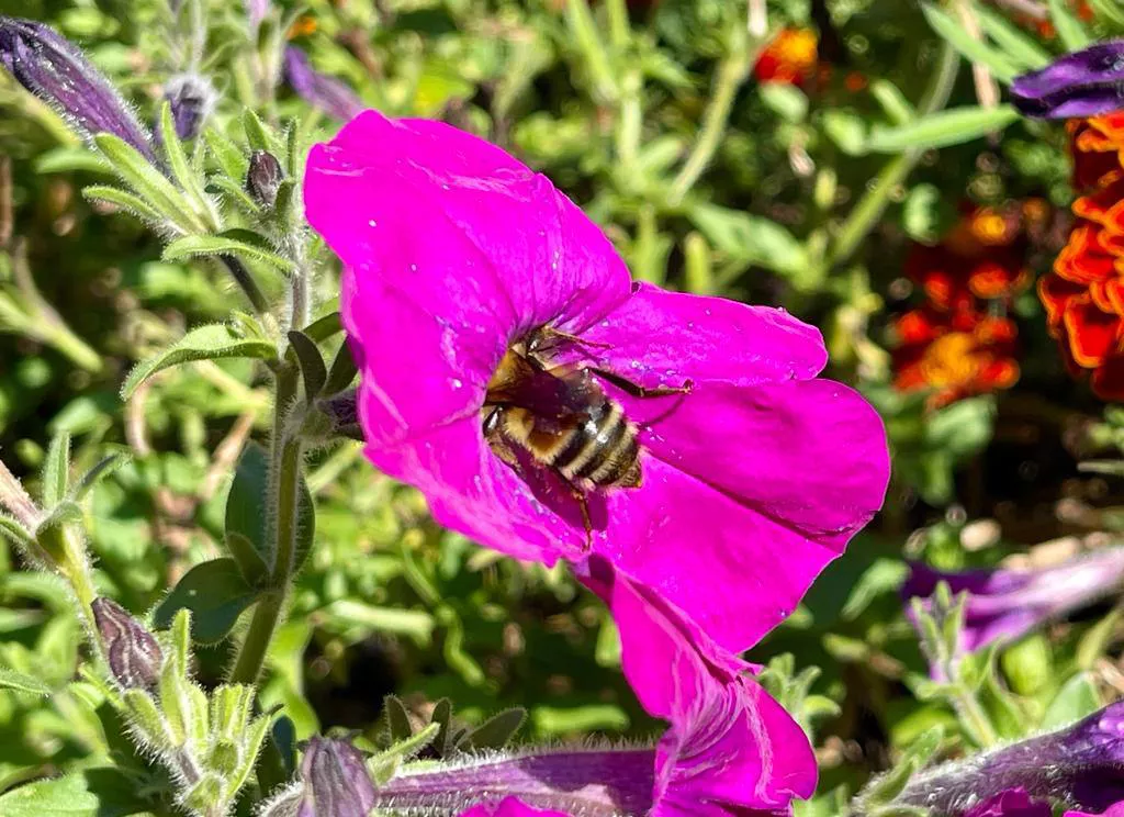 РБК Приморье