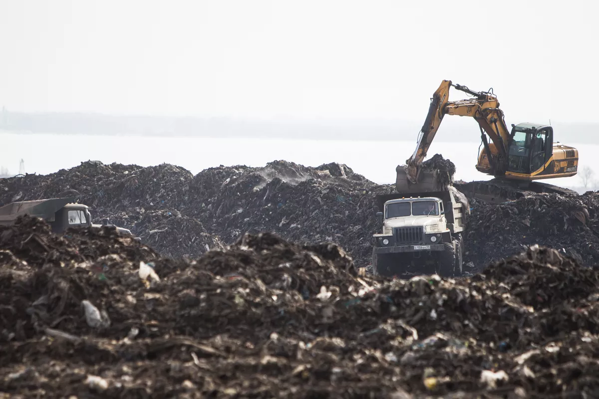 Александр Подгорчук