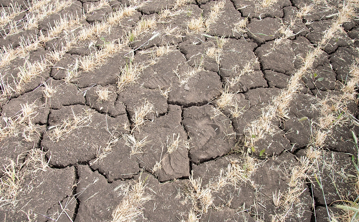 О. Спиридонов / Бизнес Online / ТАСС