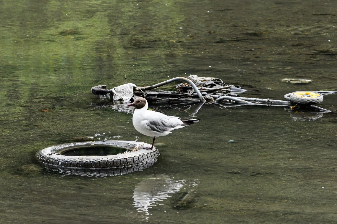 Владимир Жабриков / URA.RU