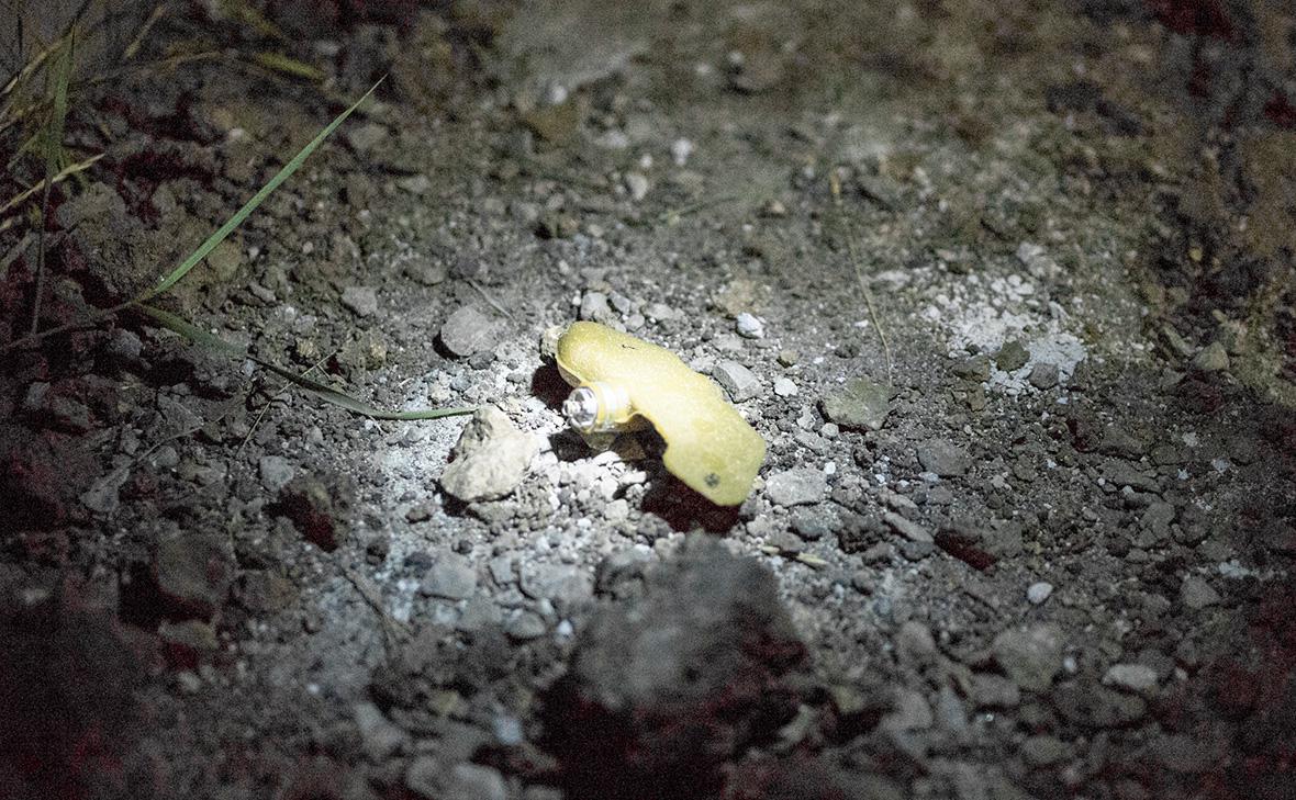 Прохожие обнаружили мину-лепесток на газоне в Москве