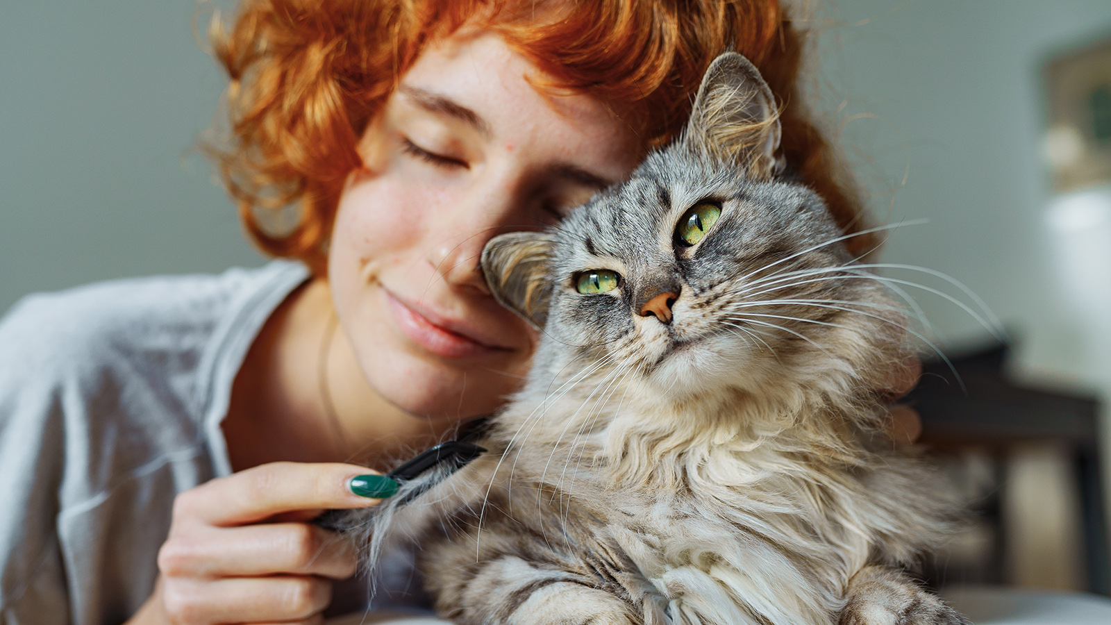 Для облегчения состояния кошки необходимо создать спокойную среду, минимизировать внешние раздражители