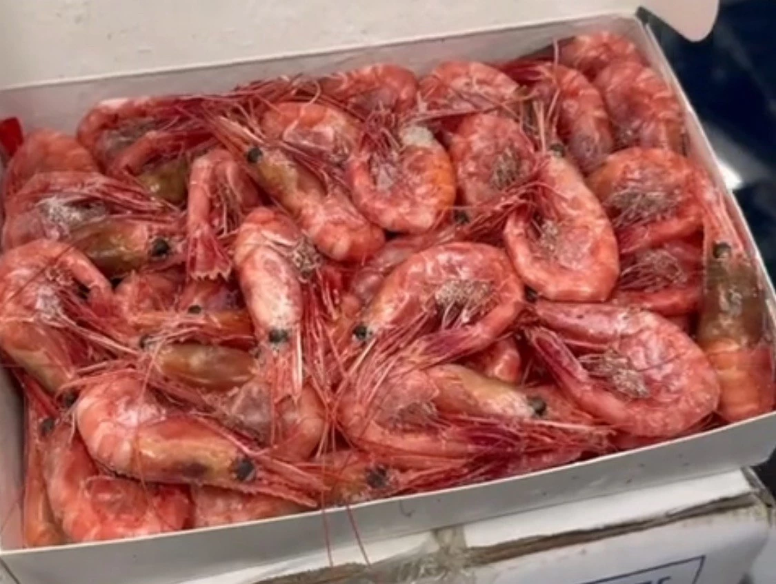 РБК Приморье