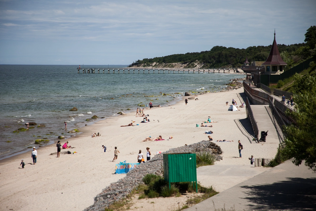 Александр Подгорчук