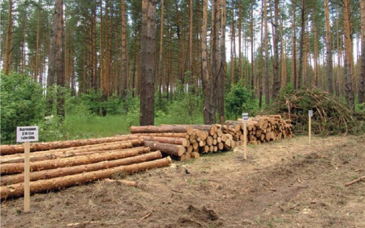 Минлесхоз РБ