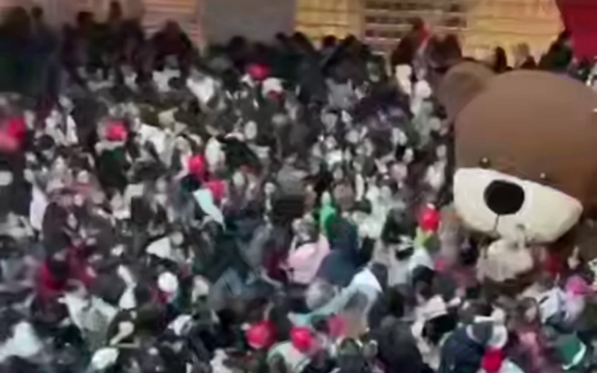 Фото: соцсети