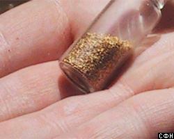 За сезон на Колыме добыли более 26 тонн золота