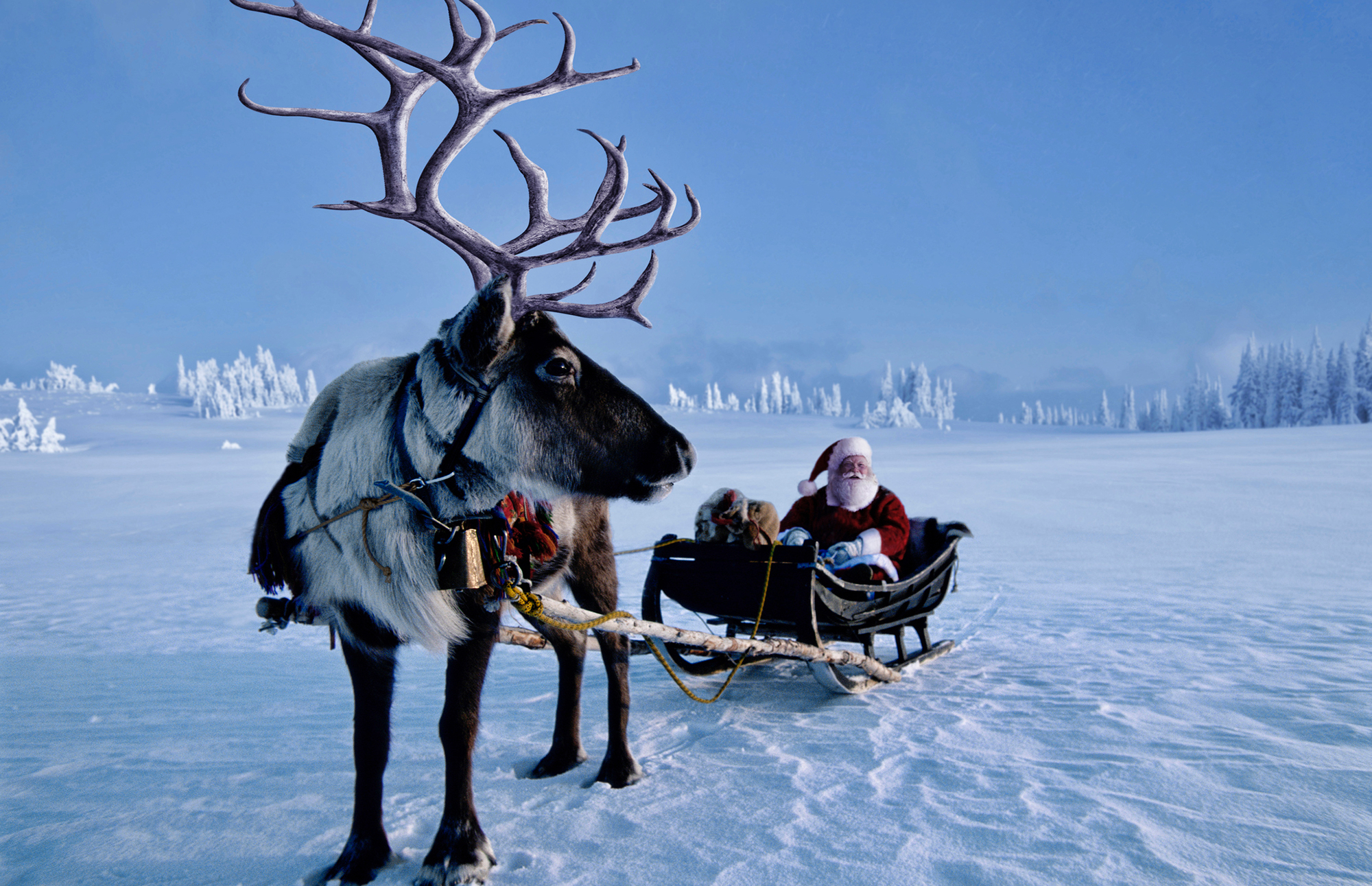 Фото: Per Breiehagen/Getty Images