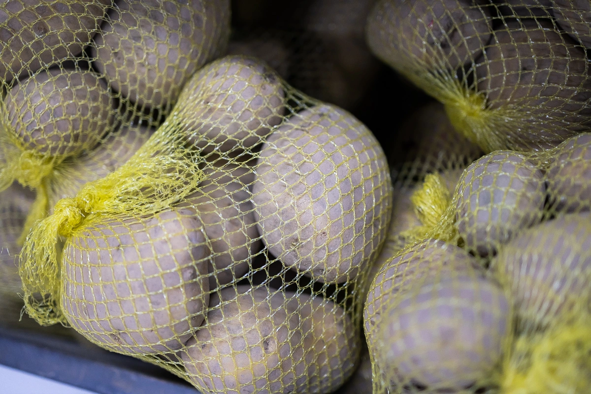 Александр Подгорчук