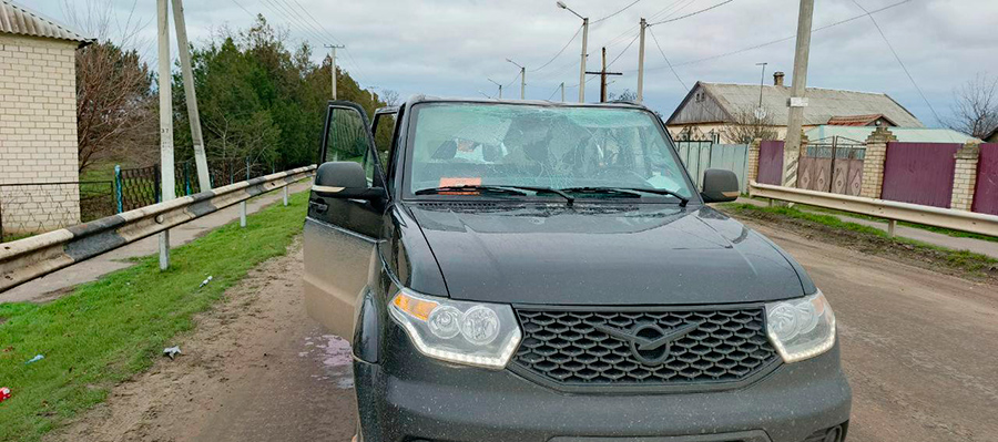 Фото: SALDO_VGA / Telegram