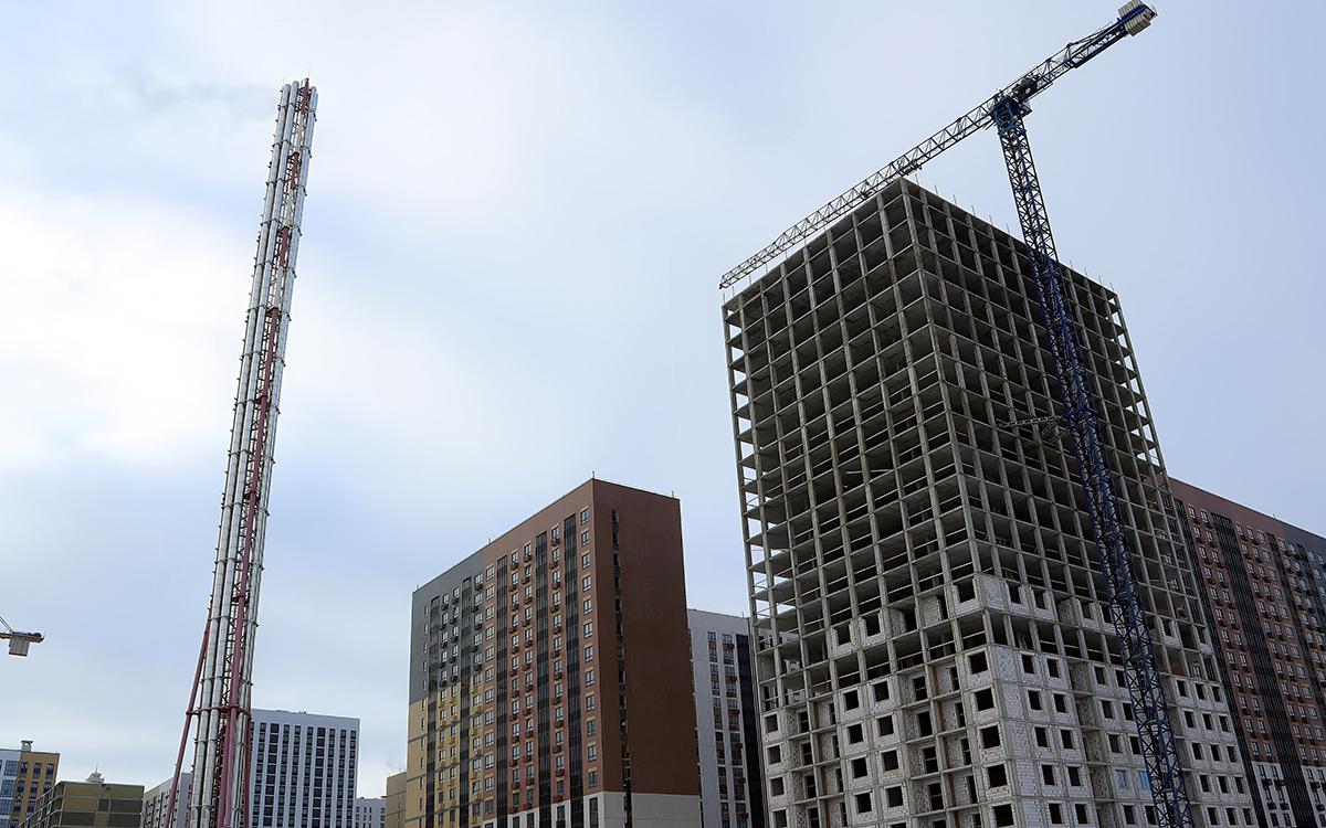 Фото: catocala7 / Shutterstock / FOTODOM