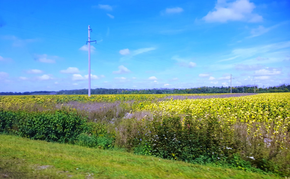 РБК Черноземье